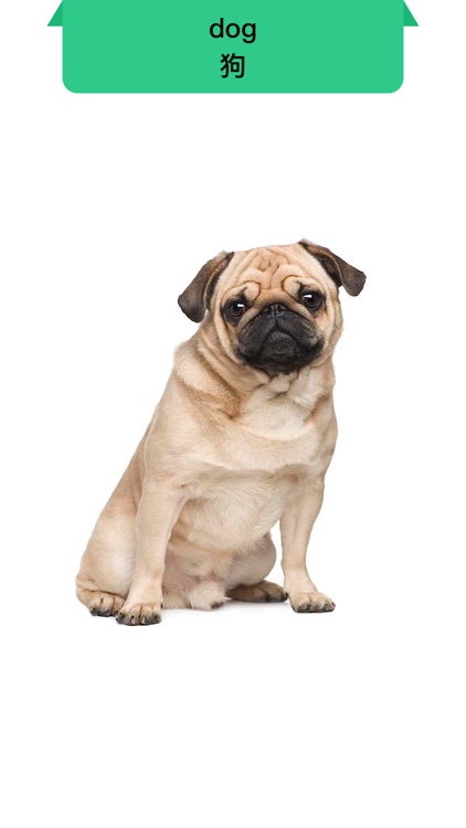 英语字母表-益智游戏26个英文字母表和英语音标早教游戏