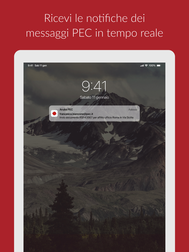 Aruba PEC Screenshot