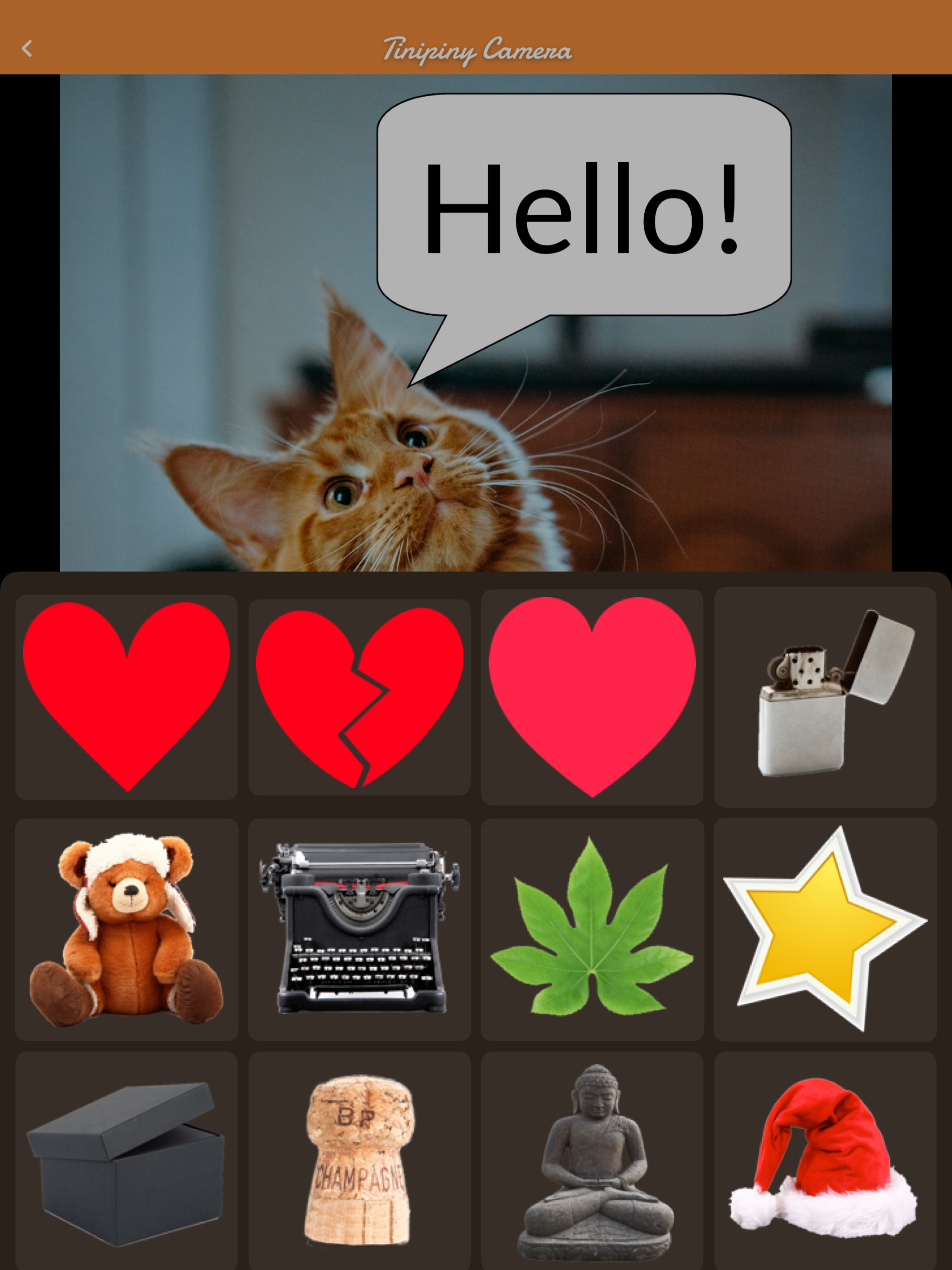 Tinipiny Camera screenshot 11