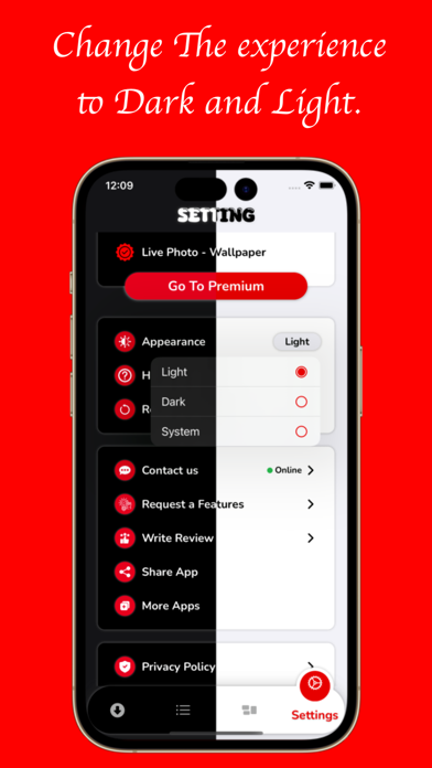 Pin Video Screenshot