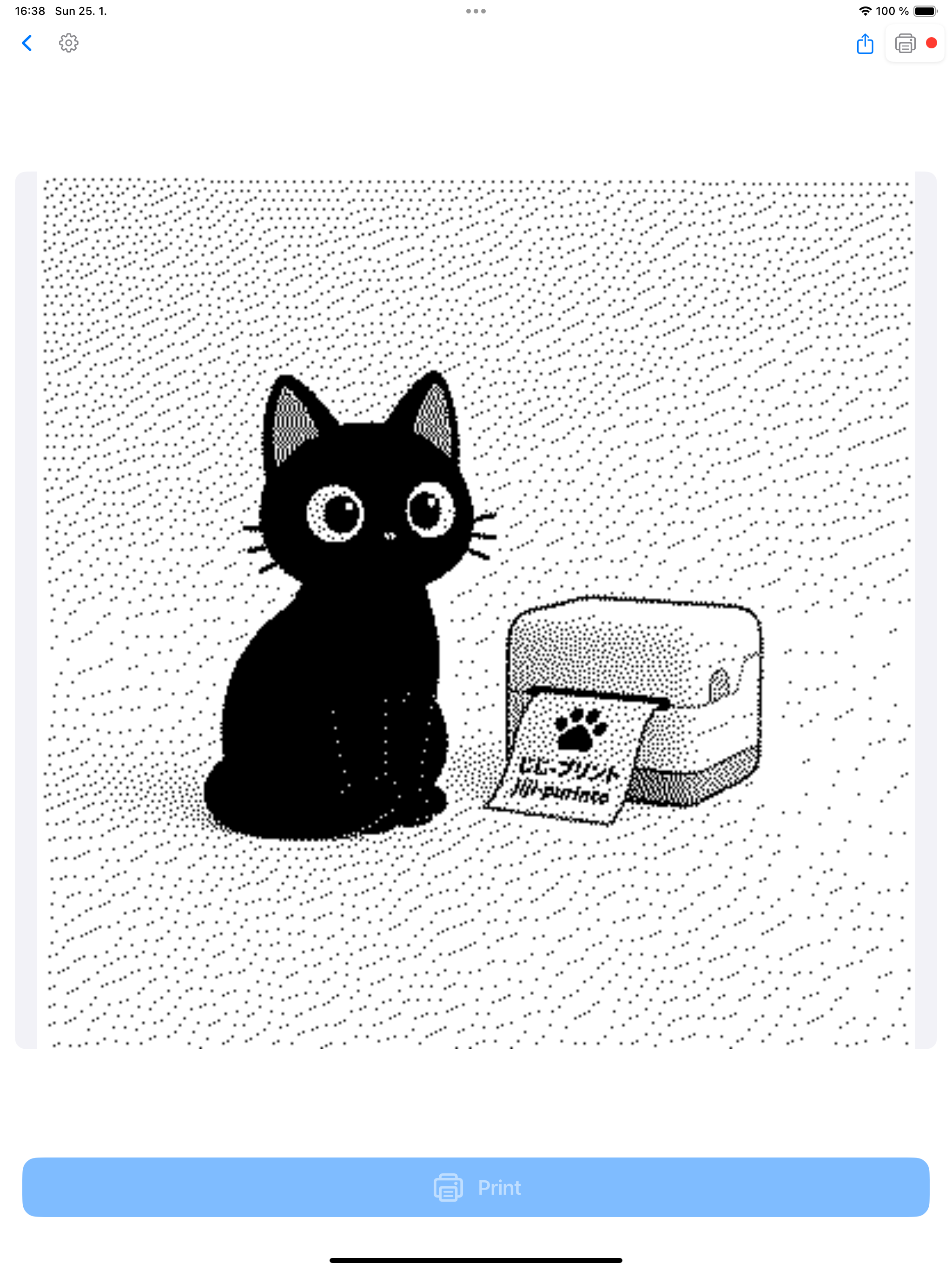 Jiji Purinto