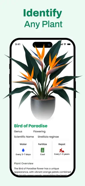 AI Plant: Plant Identifier screenshot 4