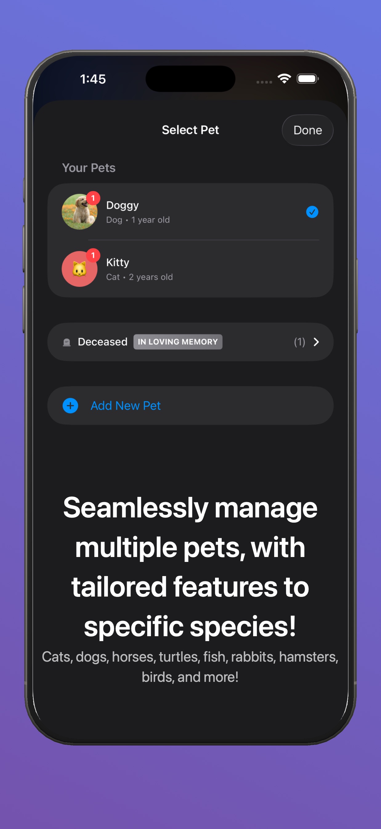 スクリーンショット 6