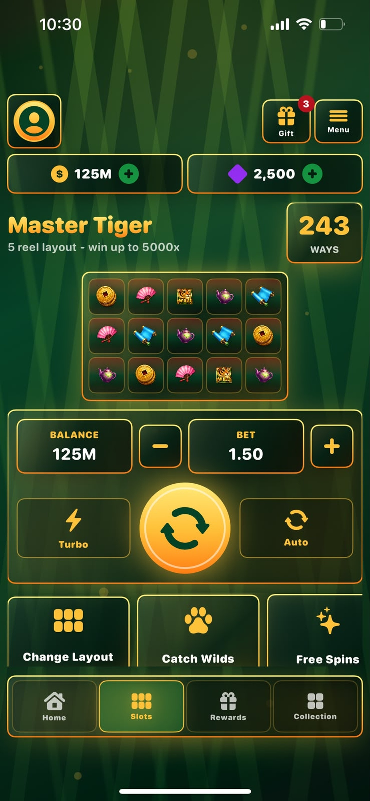 Master Tiger fortune screenshot 3