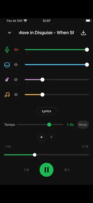 Split It Music screenshot 4