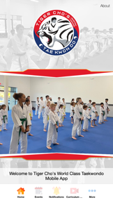 Tiger Cho's Taekwondo screenshot