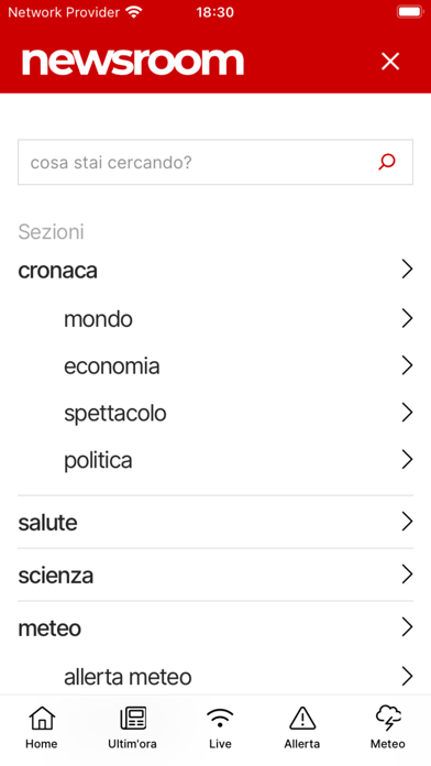 NewsRoom Screenshot