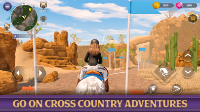 Star Equestrian - Horse Ranch Screenshot