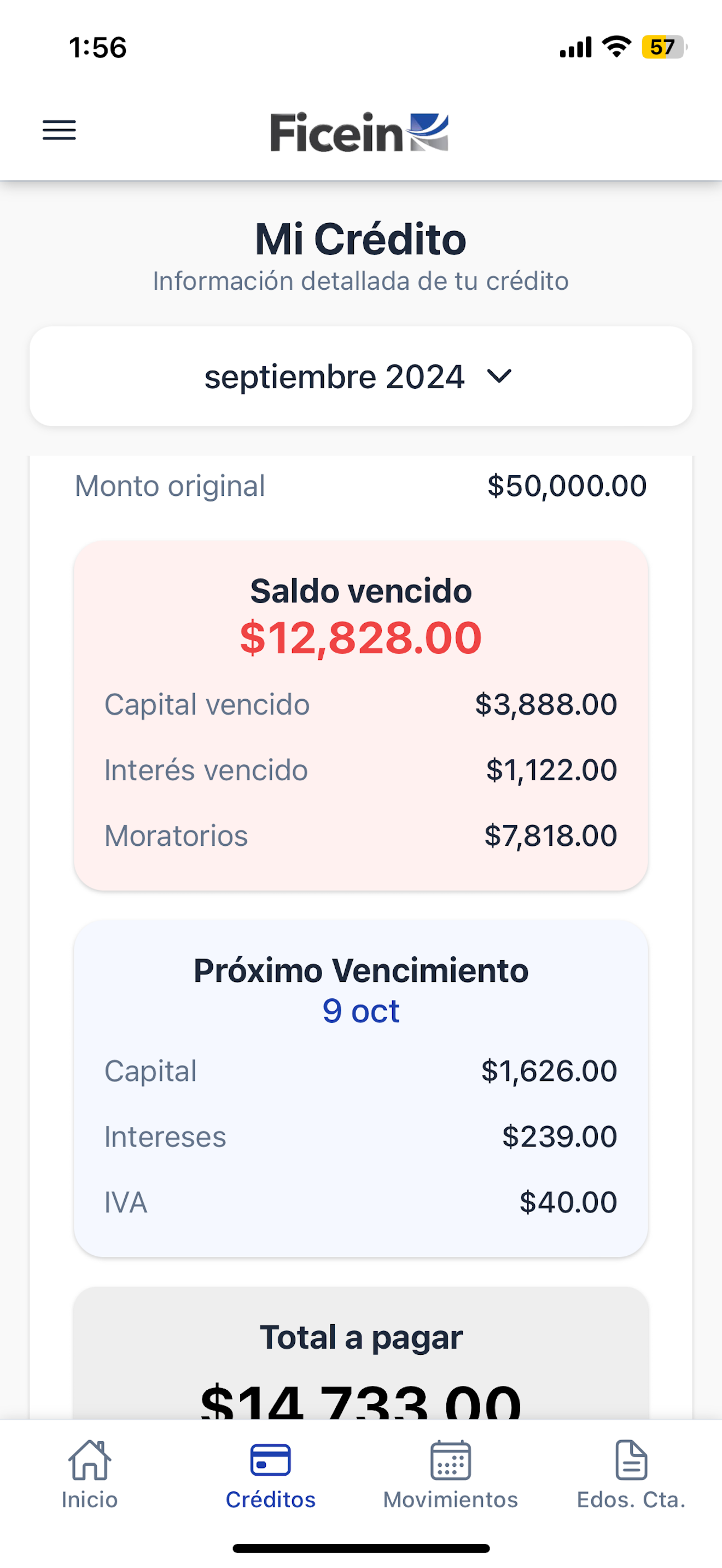 Ficein