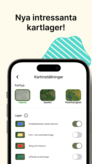 Hitta Skog: Svamp och Bär Screenshot