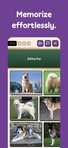 Squiz - Learn with Quizzes Screenshot 2 of 8