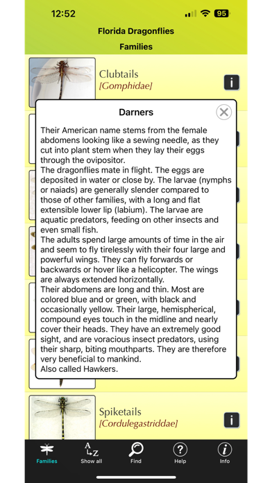 Screenshot #2 pour Florida Dragonflies
