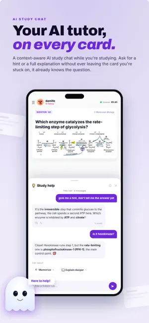 Nebulearn: AI Flashcards screenshot 4