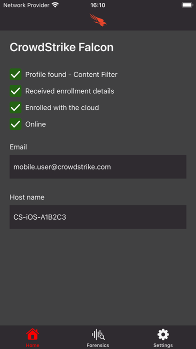 CrowdStrike Falcon screenshot 2