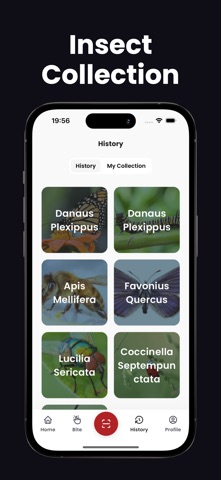 Insect Identifier - Insectby Screenshot 4 of 4
