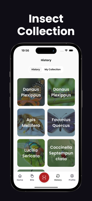 Insect Identifier - Insectby Screenshot 4 of 4
