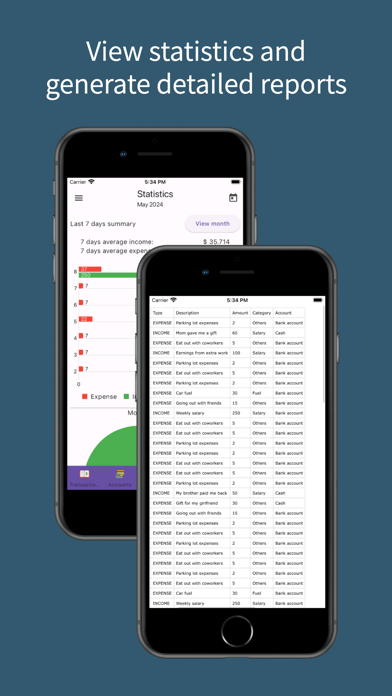 Money Manager Income & Expense Screenshot