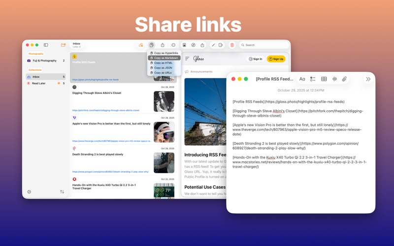 Bridges Link Formatting app screenshot 2