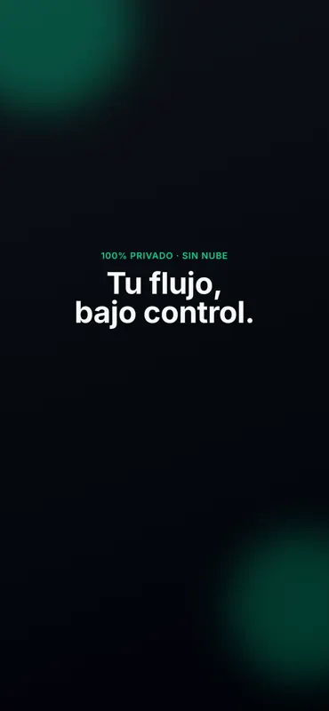 Caudara: Flujo de efectivo screenshot 7 of 7