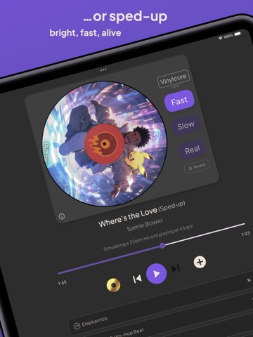 Vinylcore iPad screenshot