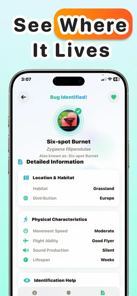 Spider Identifier: Pest Scanner screenshot 5