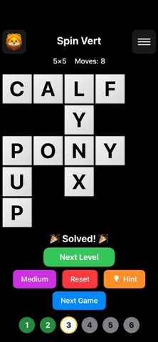 Word Puzzie screenshot