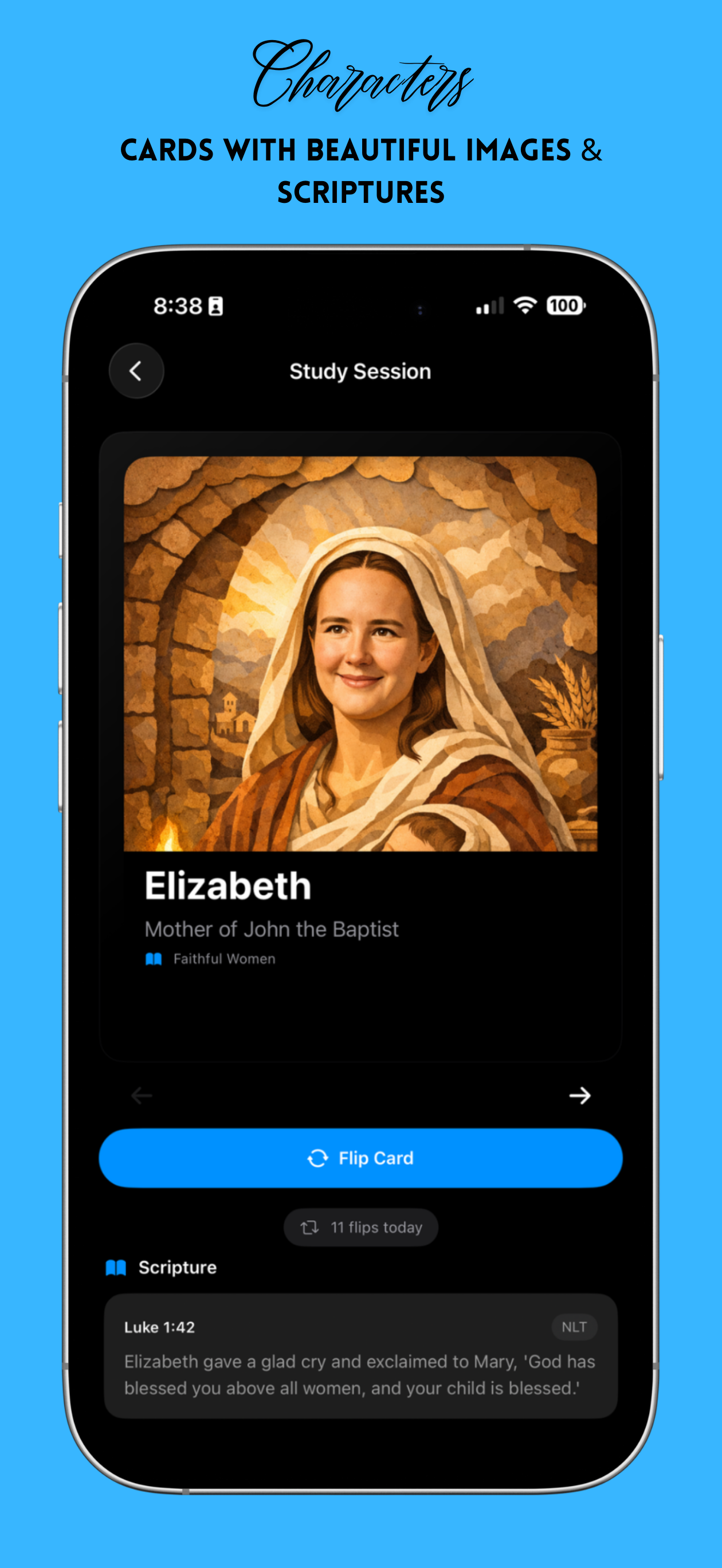 FlipIt - Bible Character Cards