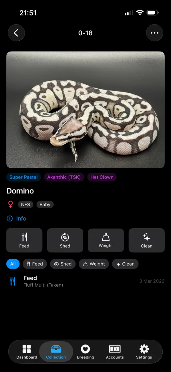 #3. Monty: Ball Python Manager (iOS) Door: Jordan Marshall