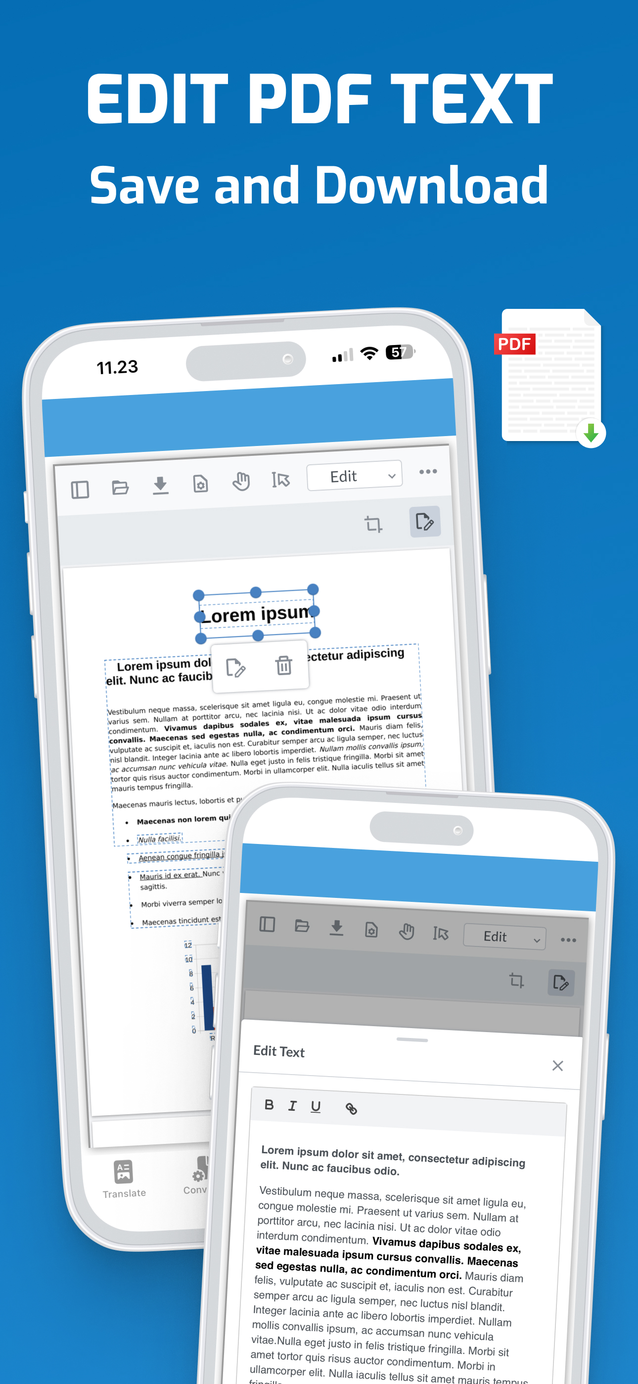 Traduttore PDF e Word