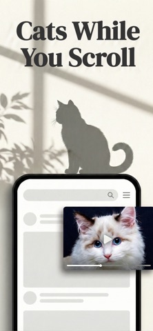 Floating Cat Videos - Sumineko Screenshot 1 of 5