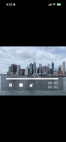 IsPlayer screenshot