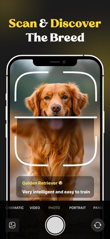 Dog Identifier: Breed Detector Screenshot 2 of 5