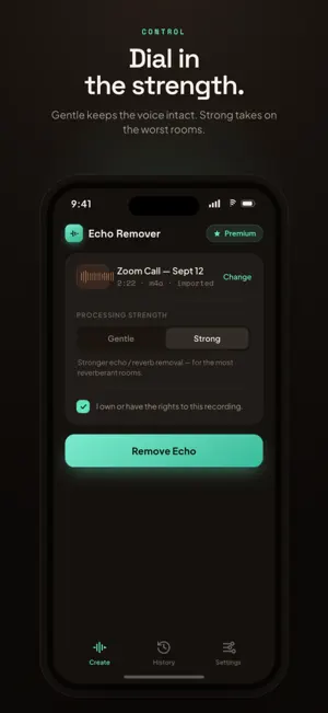 Echo Remover: Voice Cleanup screenshot 2