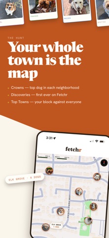 Fetchr — Catch Every Dog Screenshot 4 of 5