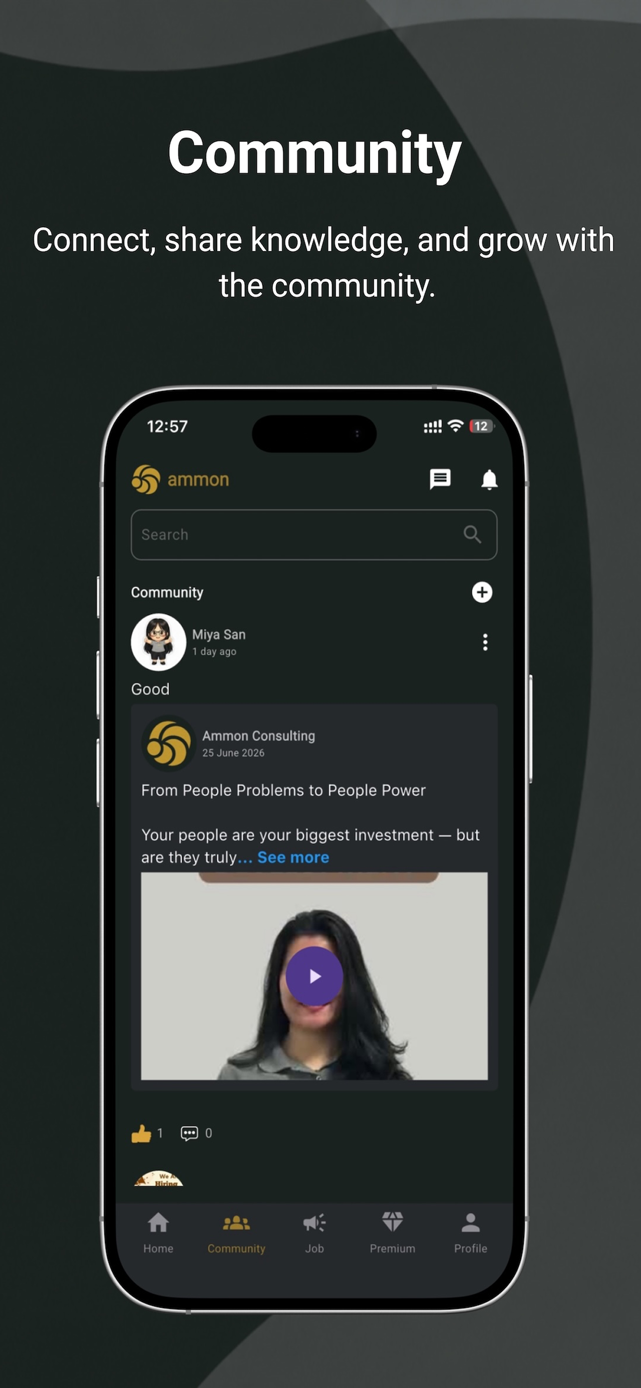 Ammon Consulting screenshot 2