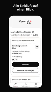 openbank pay iphone bildschirmfoto 3