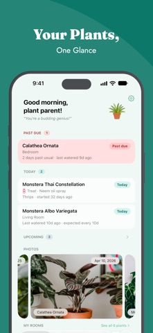 RootBase Screenshot 1 of 6