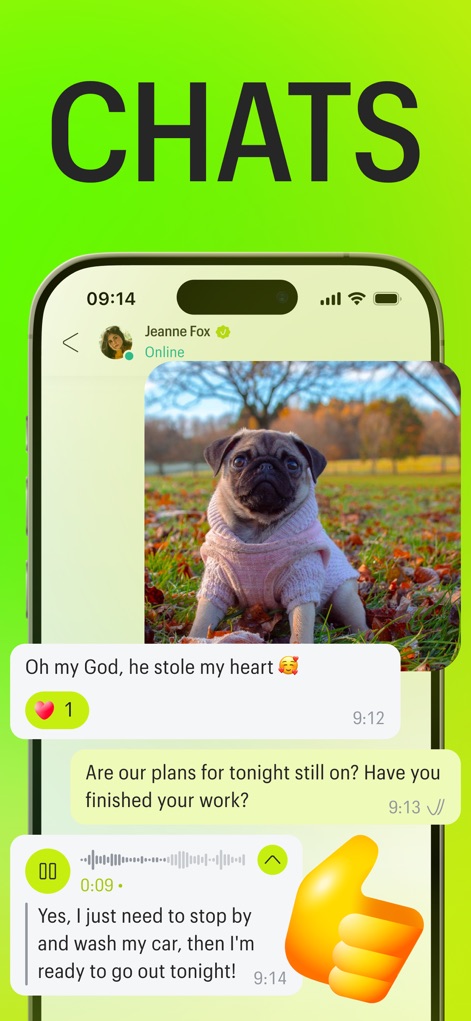 Meera: Messenger, video calls - Discover the app's rich messaging capabilities, demonstrating multimedia sharing with an embedded image and expressive communication via large stickers and voice message waveforms.