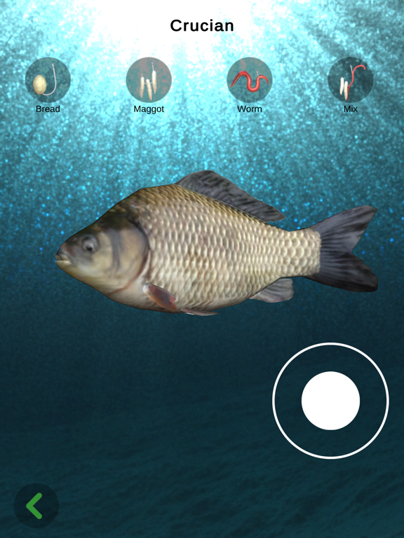 Bobber Fishing iPad screenshot
