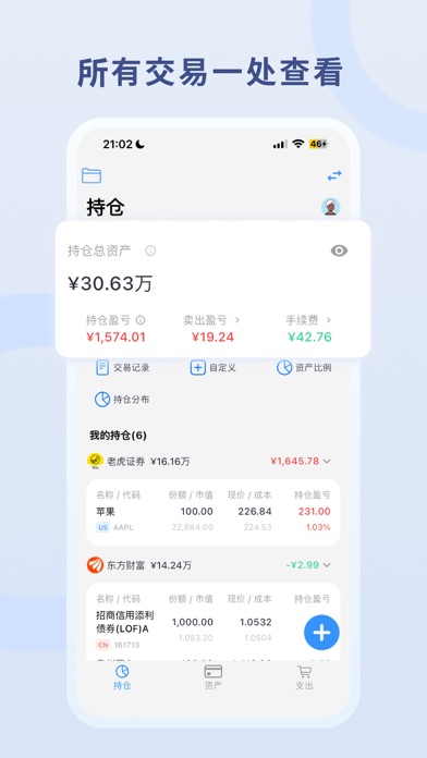 Snowball Portfolio Screenshot