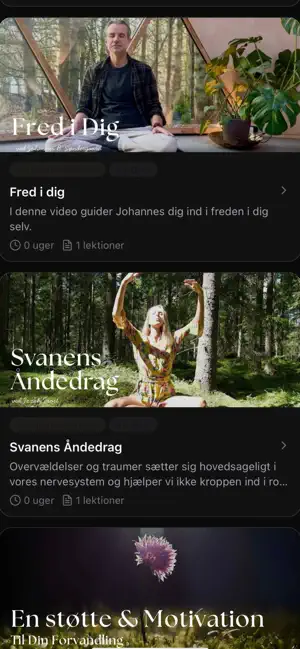 Unfold: Selvudvikling screenshot 4