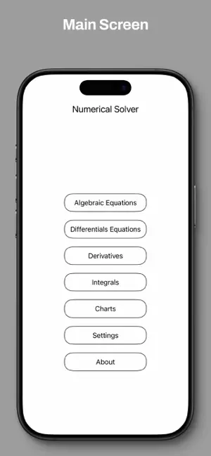 Numerical Solver screenshot 1