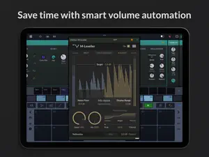 M-Leveller screenshot 1