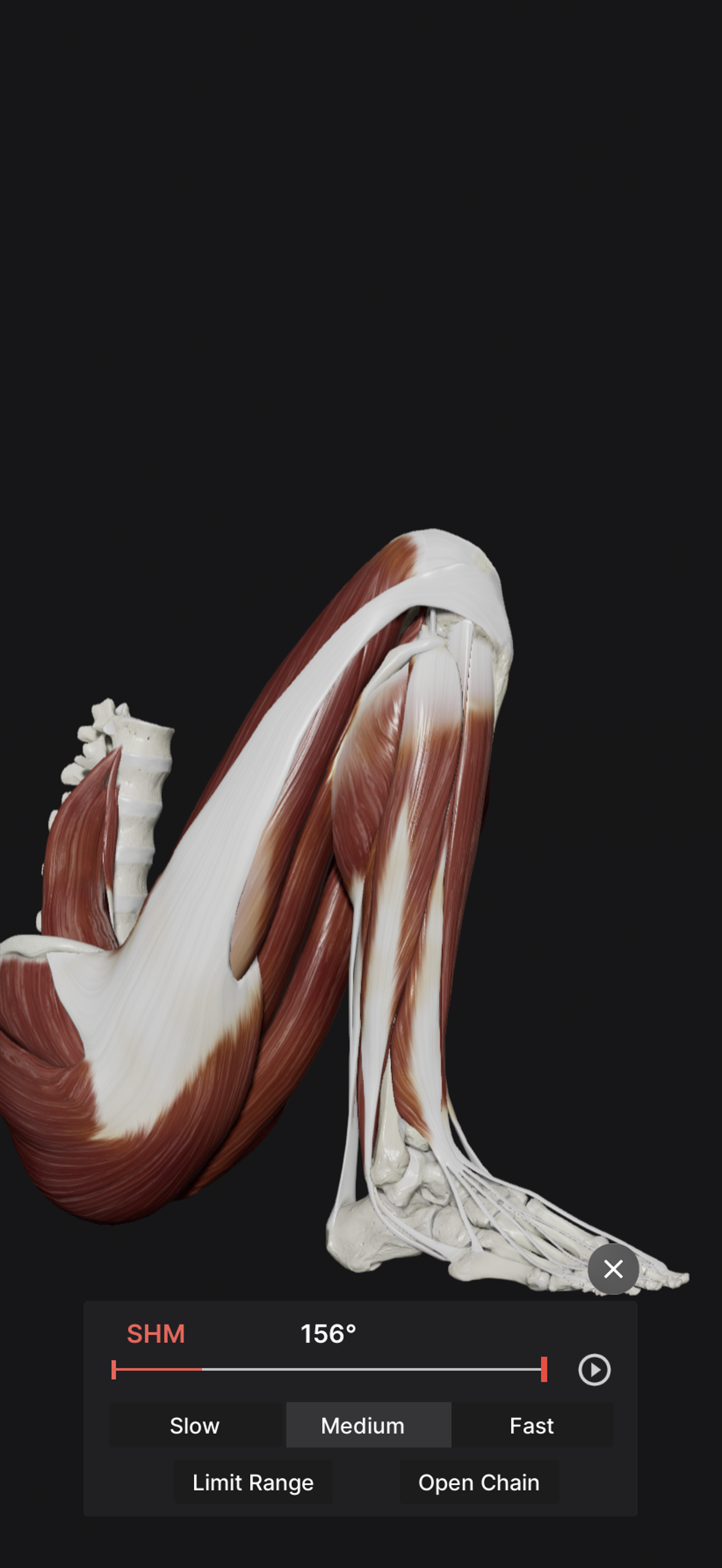 Knee Biomechanics