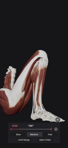 Knee Biomechanics screenshot