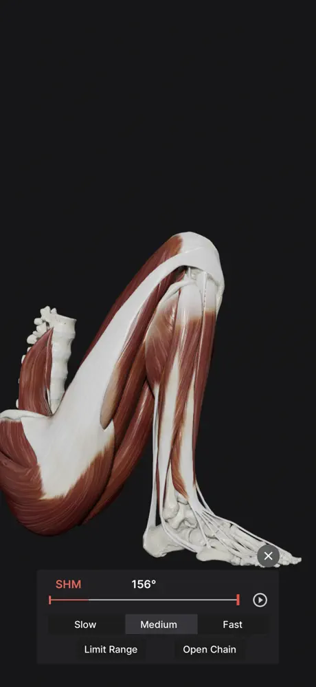 Knee Biomechanics screenshot 5