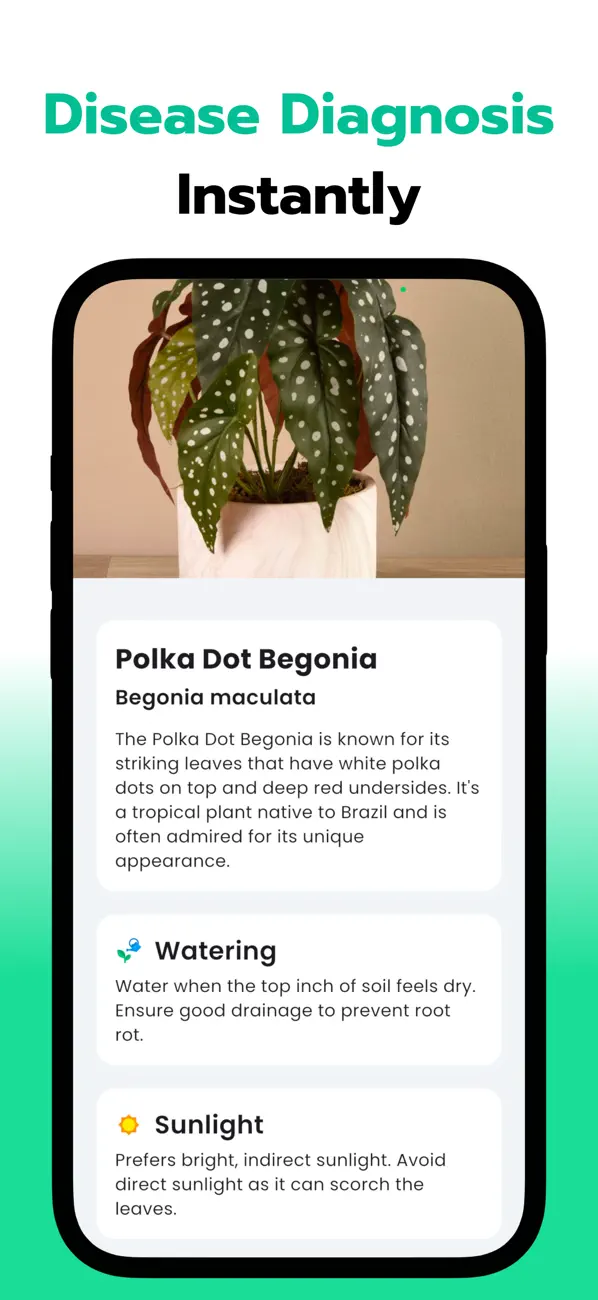 #2. Leaf Identification: Leafzy (iOS) De: Cristian Alan Canales Mota