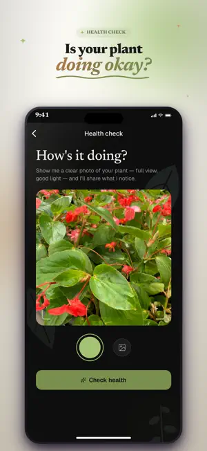 Phyllo: AI Plant Care screenshot 4