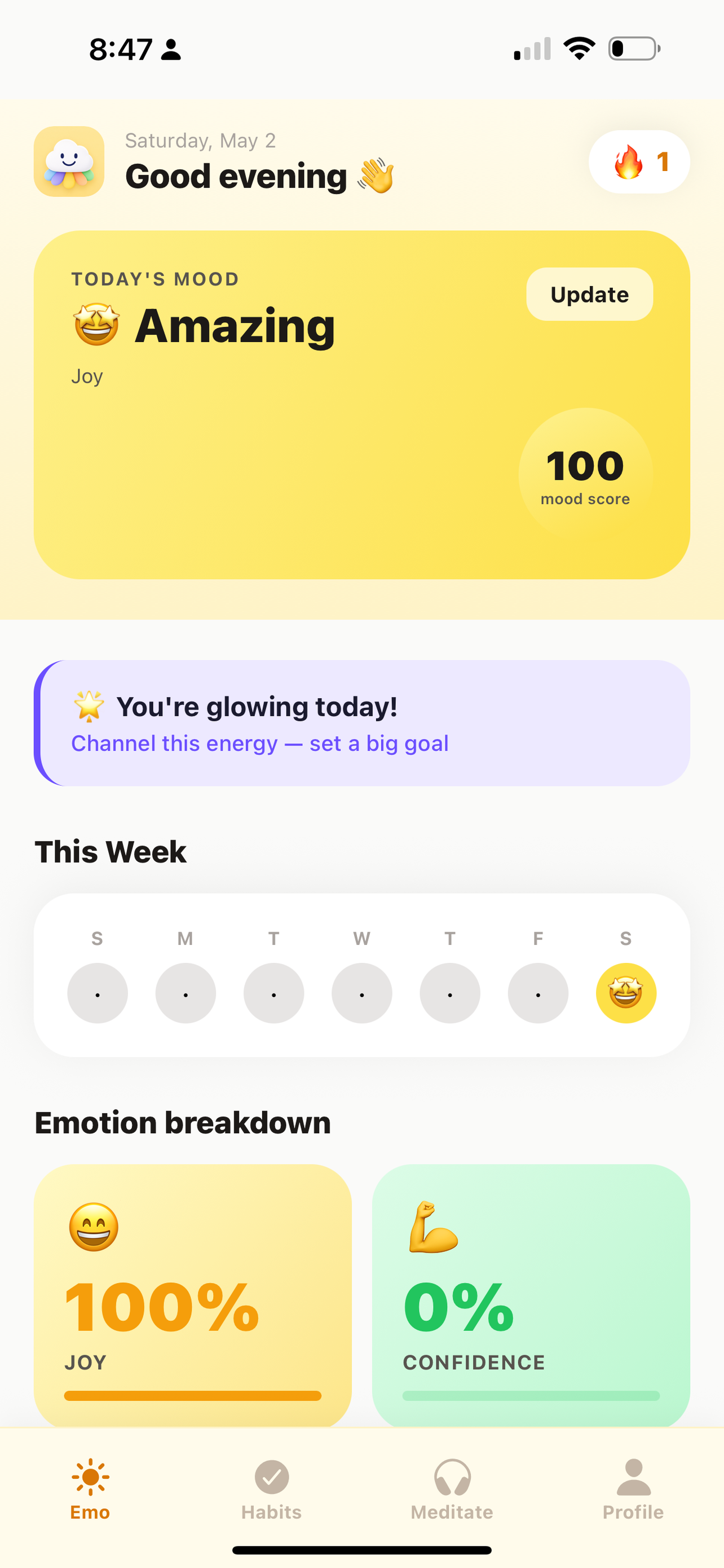 Habit Builder & Mood Log