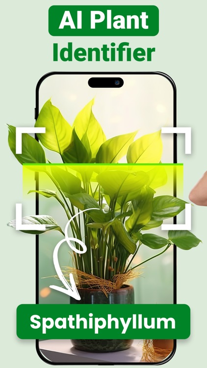 AI Plant Identifier& Diagnosis